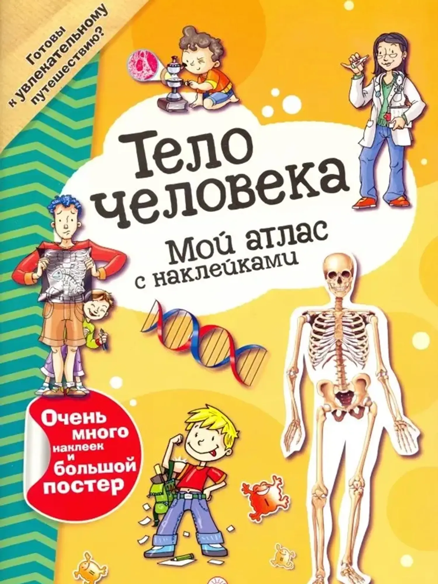 Книга "Мой атлас с наклейками. Тело человека"