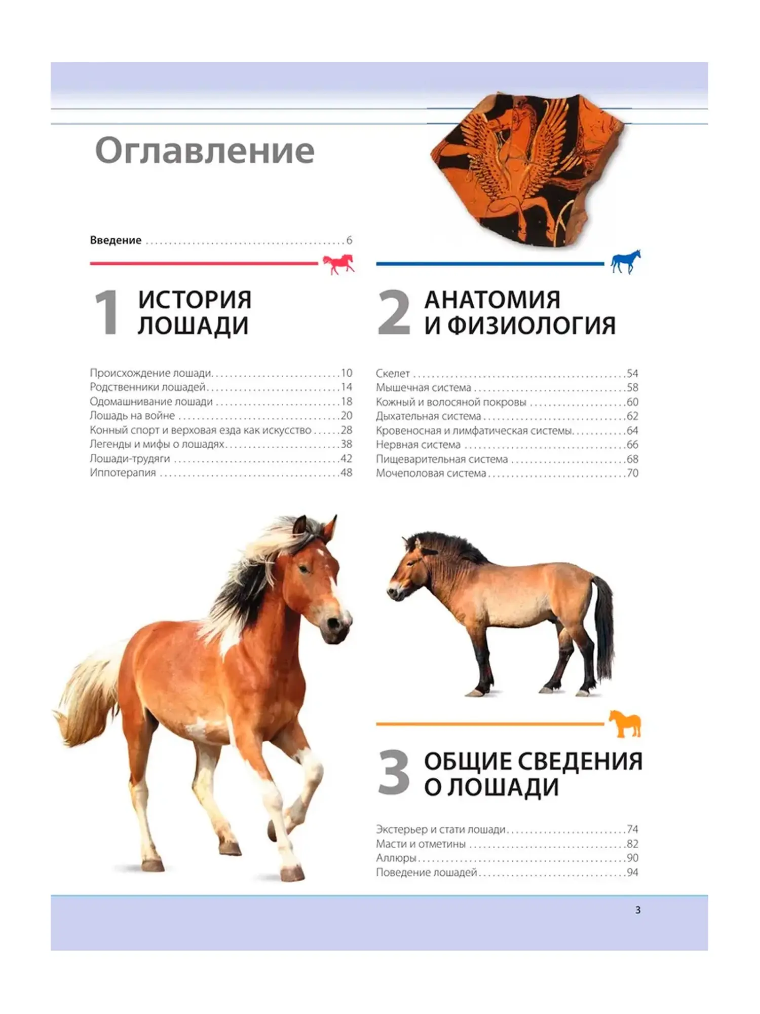 Лошади. Самая полная иллюстрированная энциклопедия Зимина Г. - изображение 4