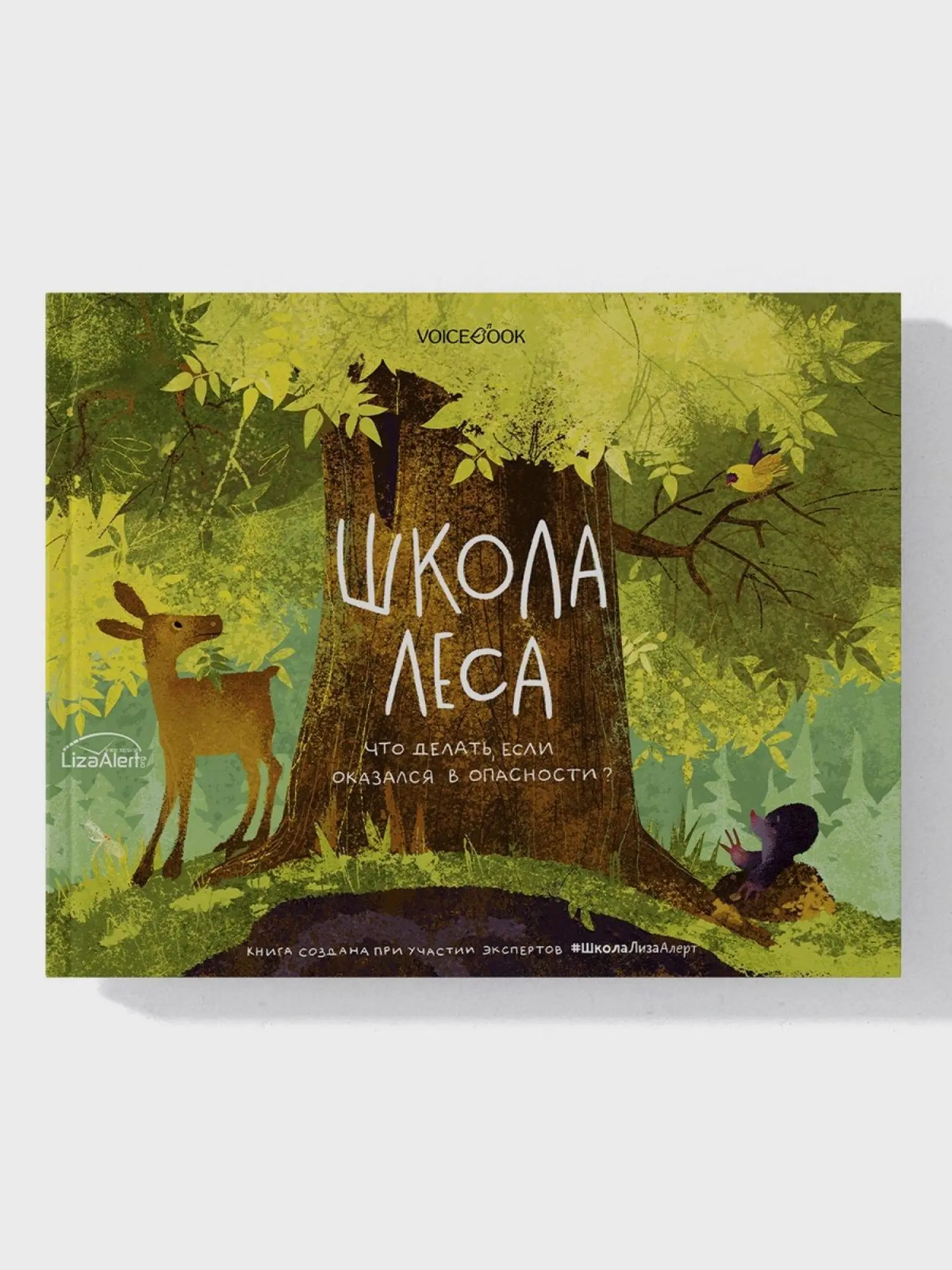 Книга "Школа леса" - изображение 1