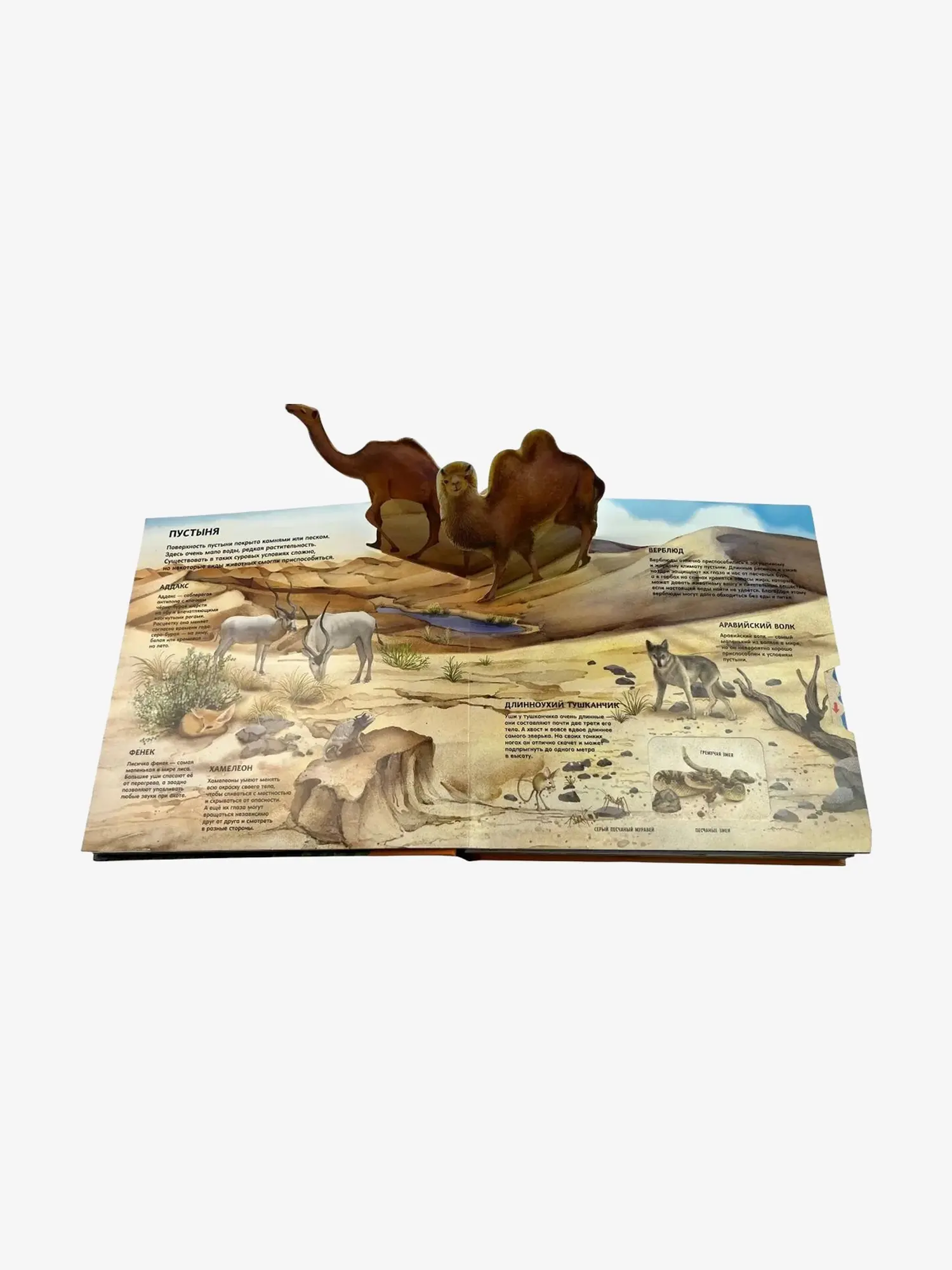 Животные. Большая интерактивная 3D-энциклопедия с панорамами, окошками, задвижками - изображение 3