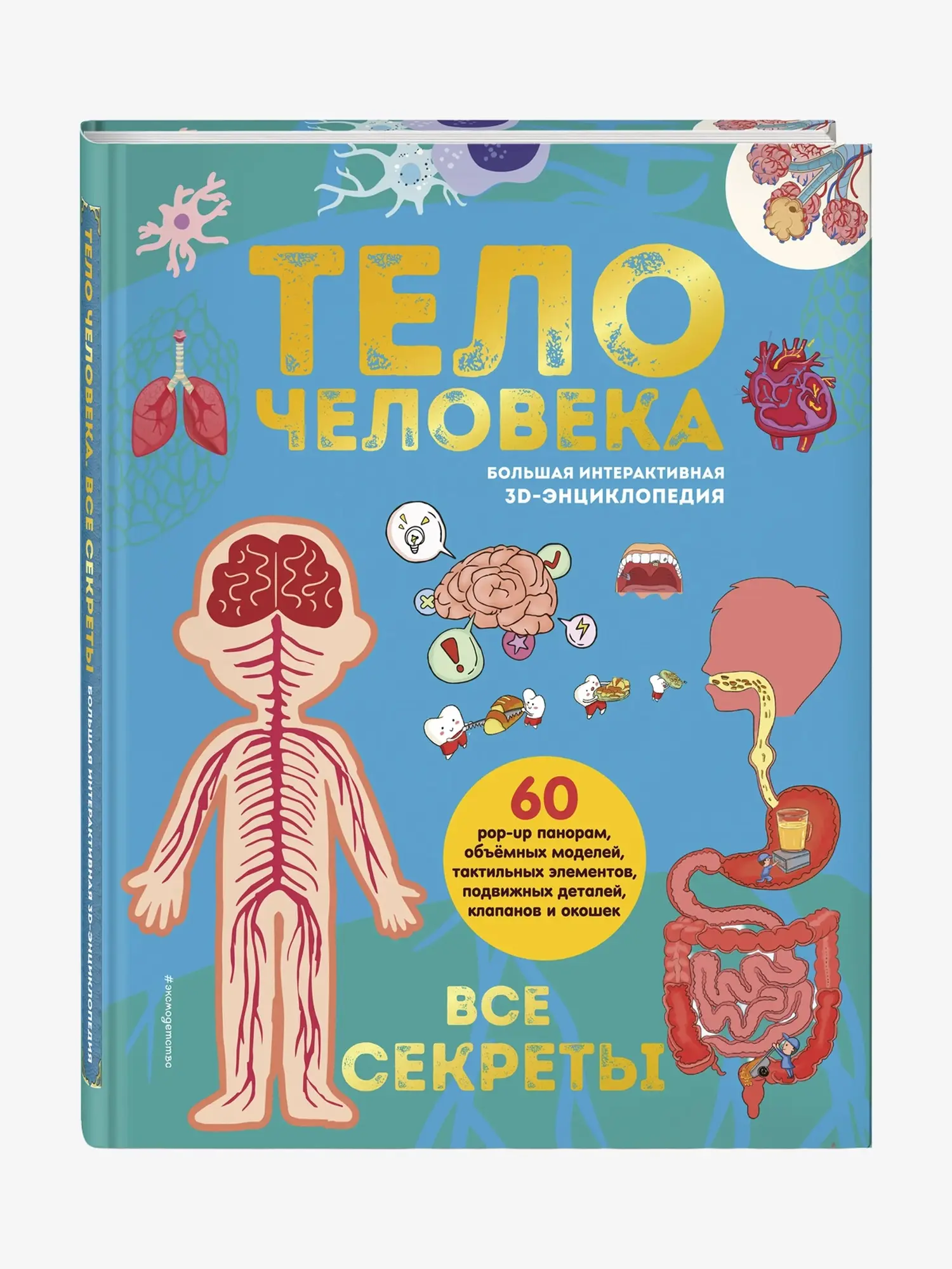 Тело человека. Все секреты. Большая интерактивная энциклопедия с объёмными фигурами.