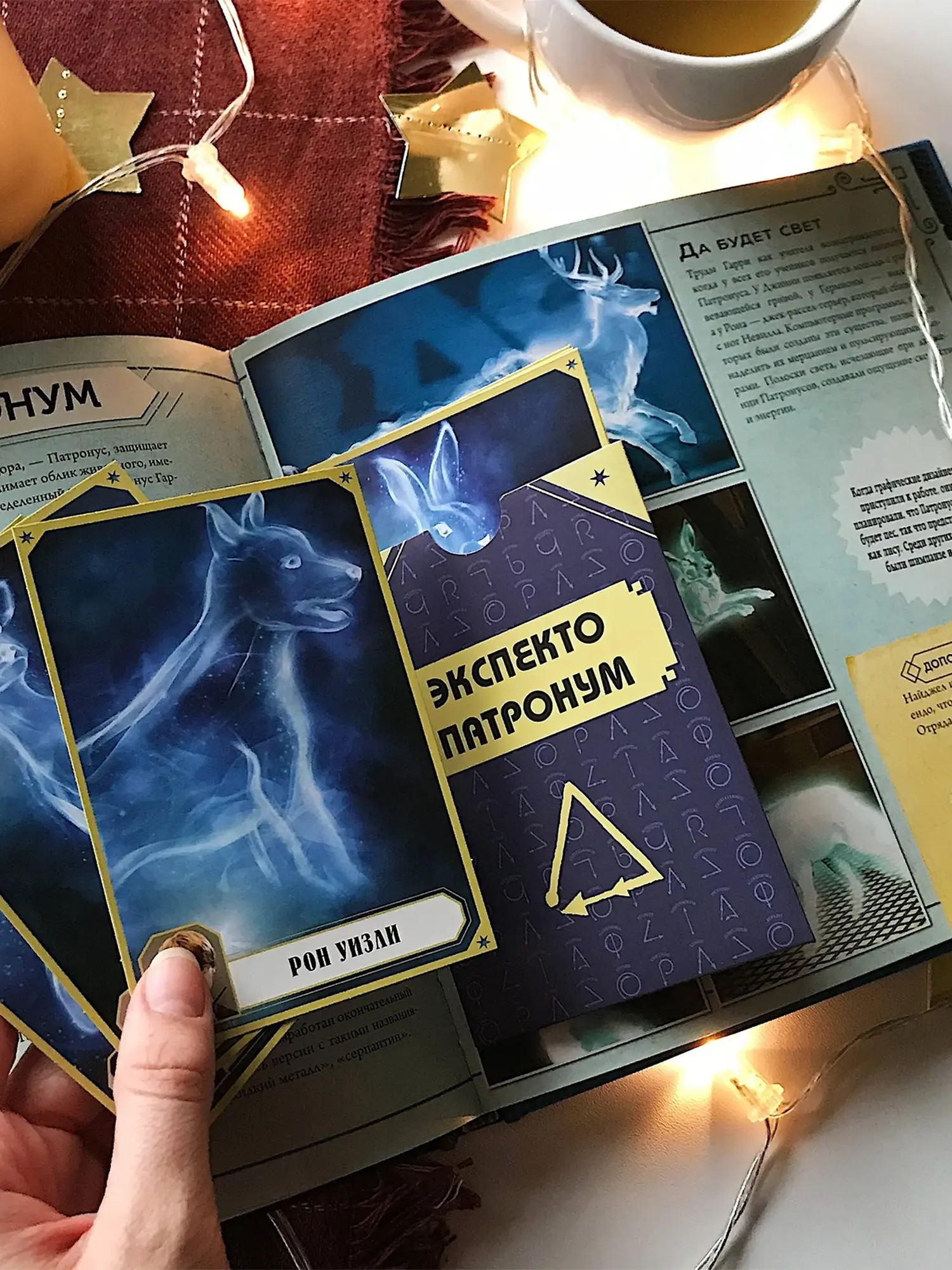 Гарри Поттер. Учебник магии. Путеводитель по чарам и заклинаниям - изображение 5