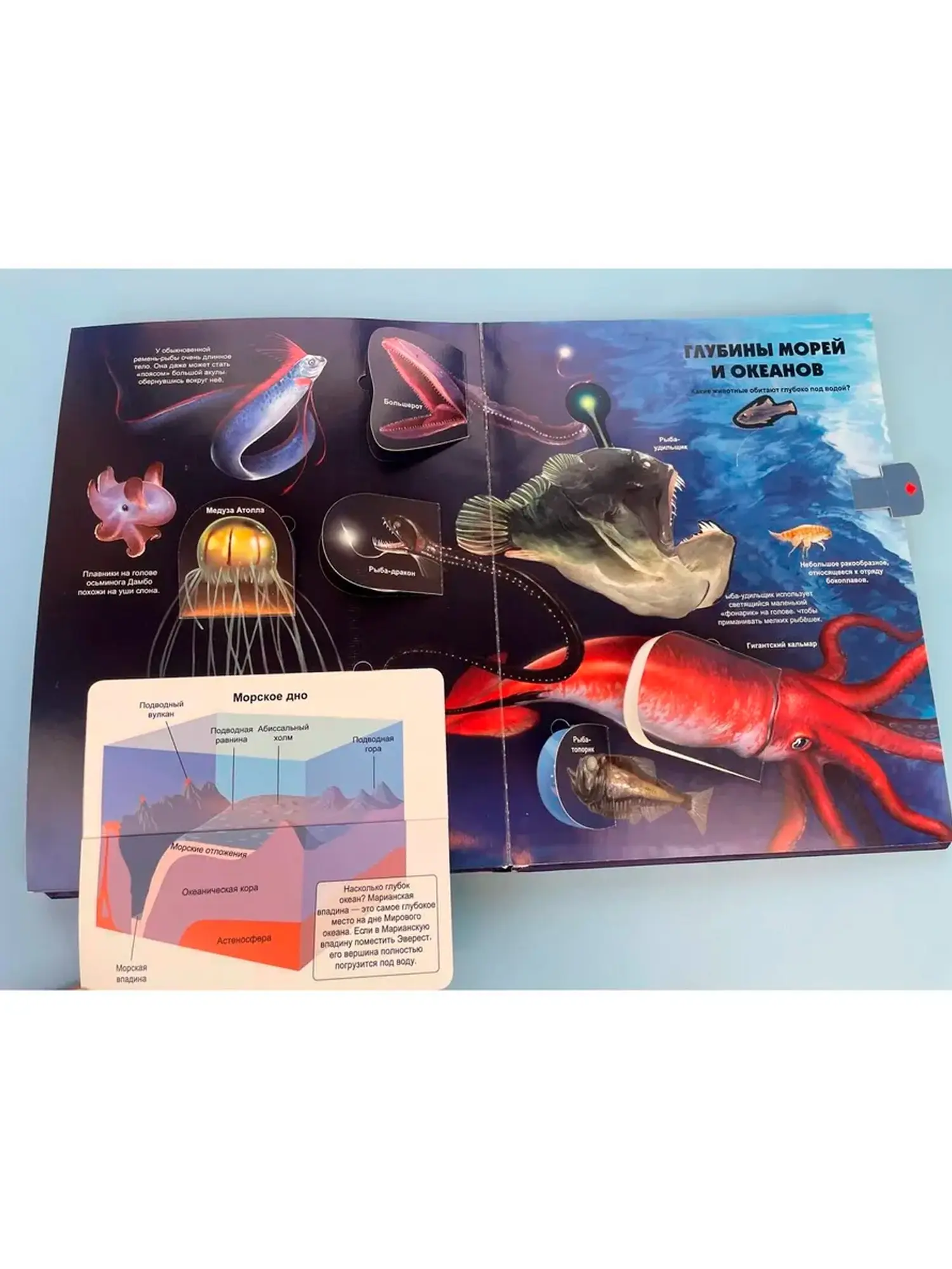 Тайны подводного мира. 3D-книга с окошками и пазлом - изображение 4