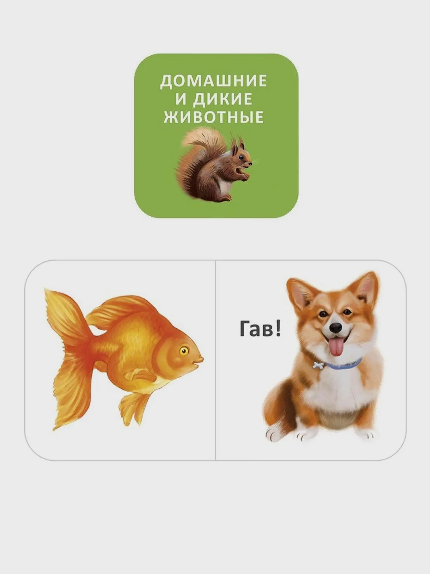 Книга "Мини-книжка для малыша" - изображение 3