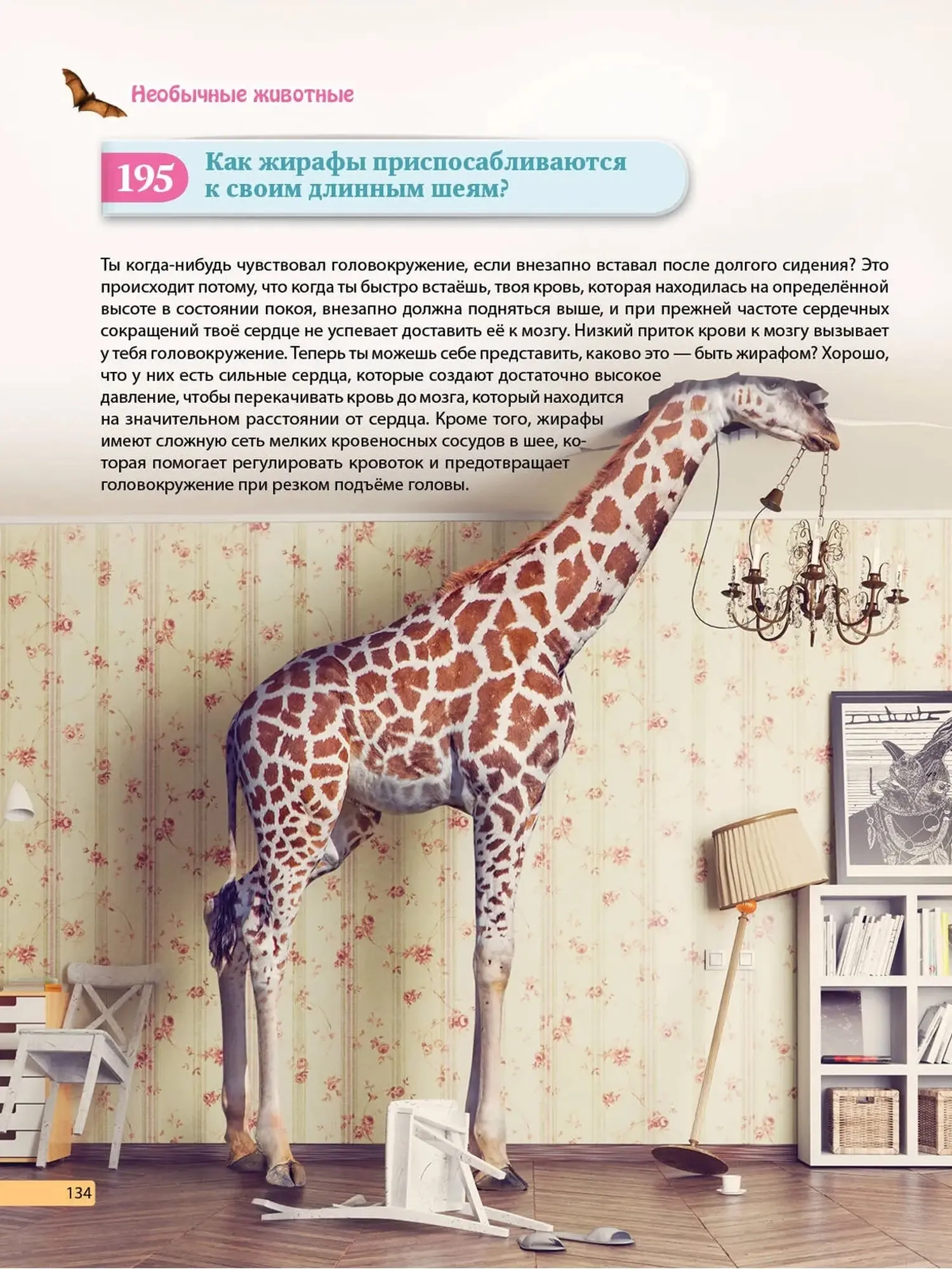 Книга "Невероятные факты!" - изображение 10