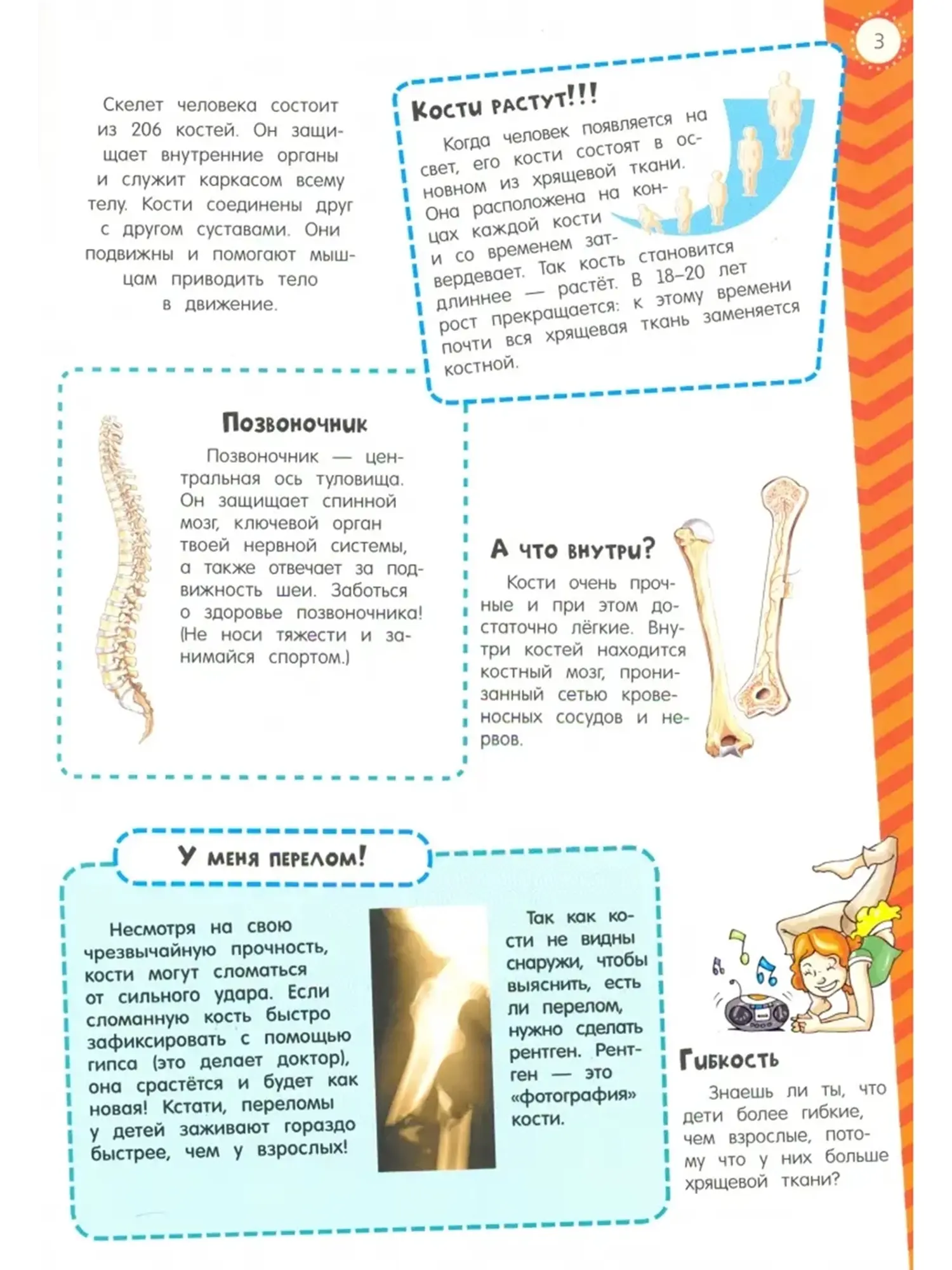 Книга "Мой атлас с наклейками. Тело человека" - изображение 3