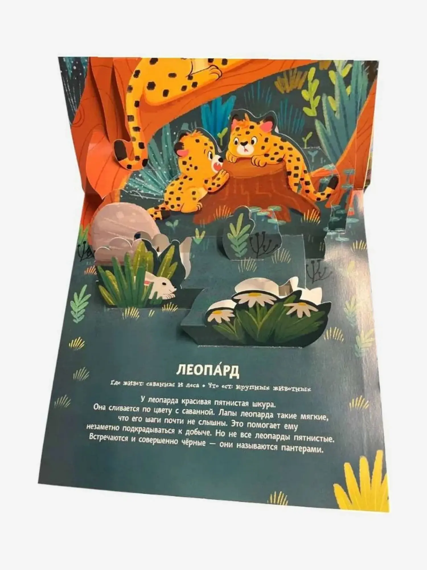 Книга - панорама "Животные" - изображение 9