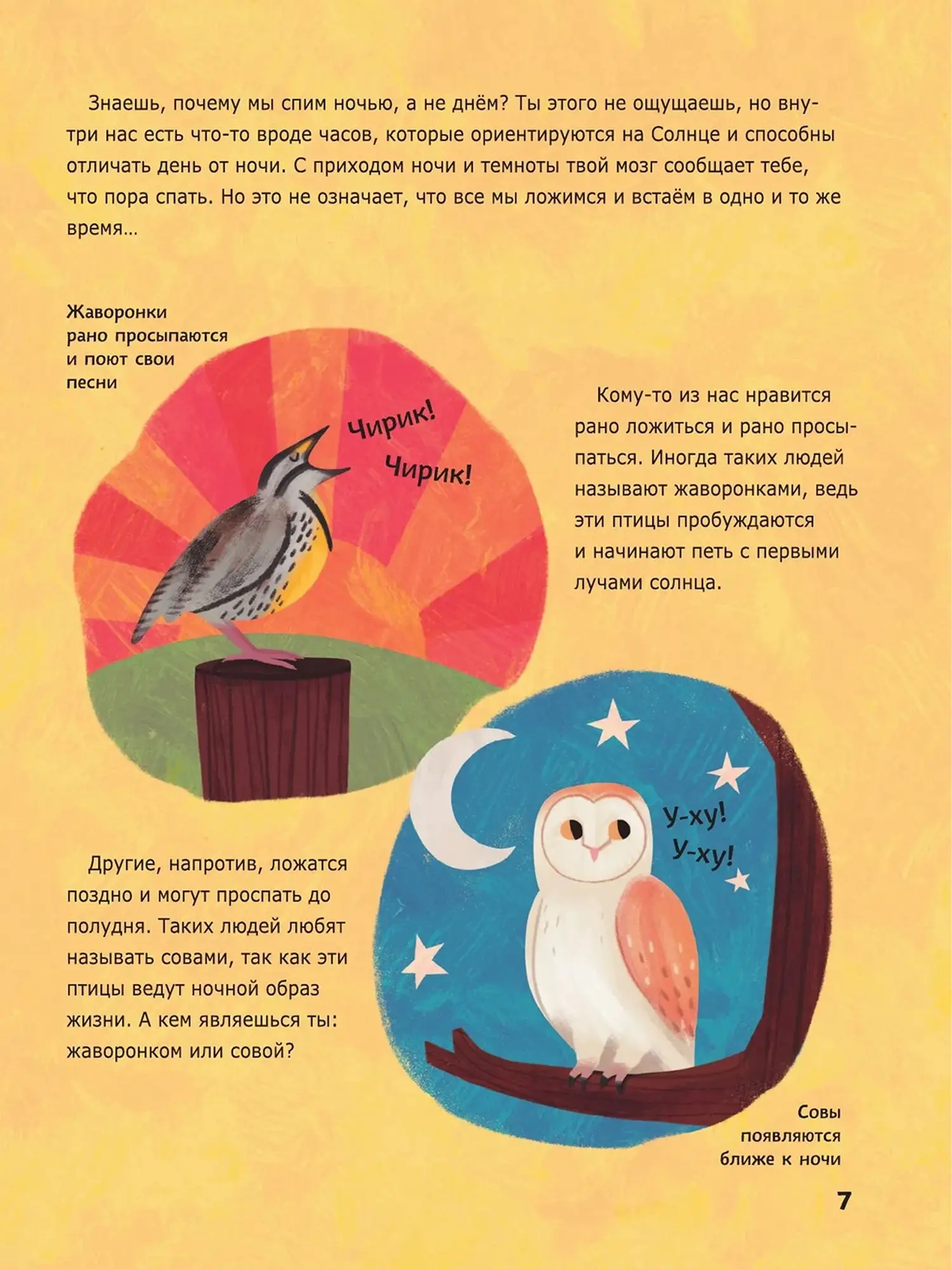 Книга 5-минутные истории на ночь для маленького почемучки - изображение 9