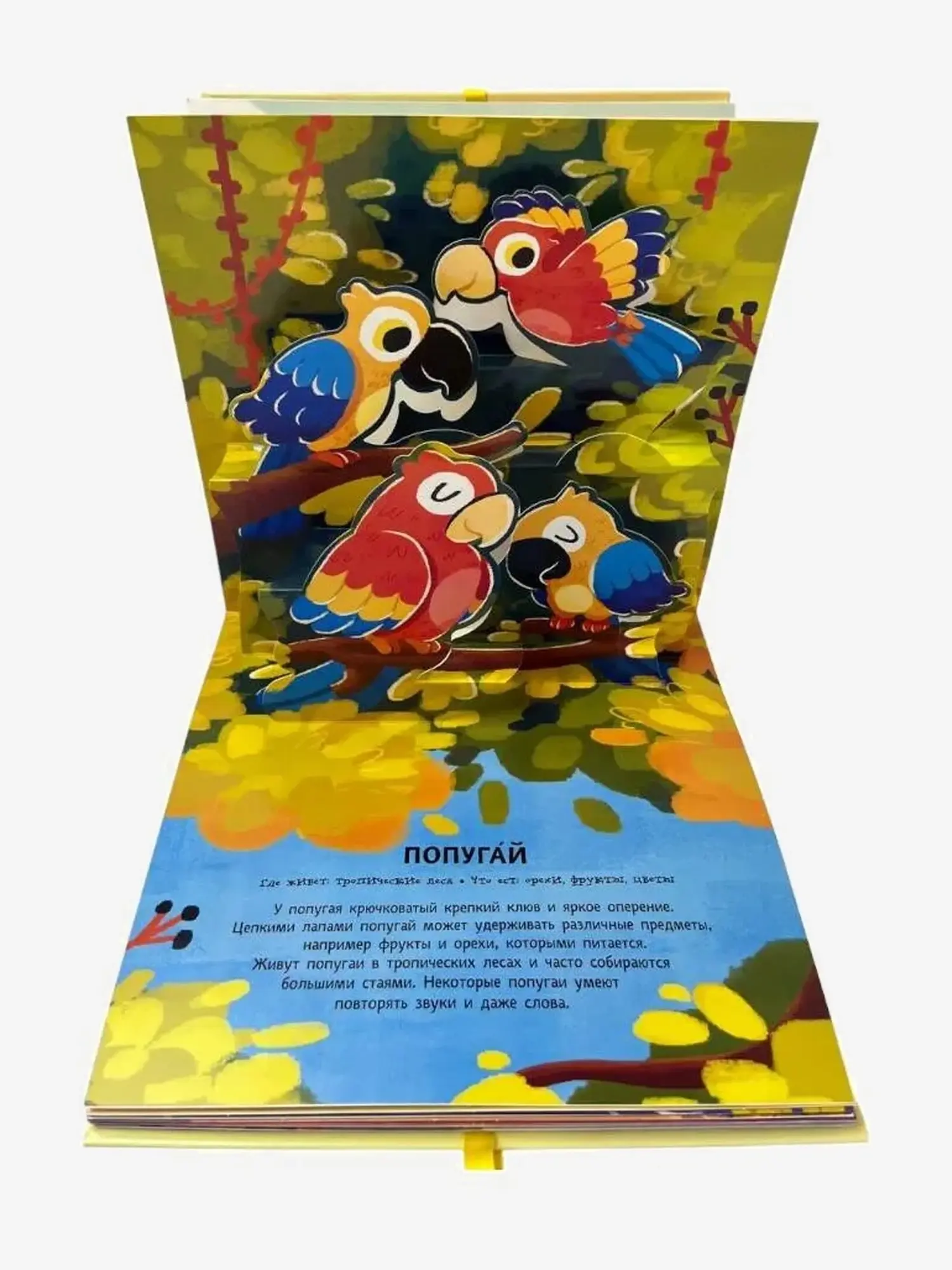 Книга - панорама "Животные" - изображение 4