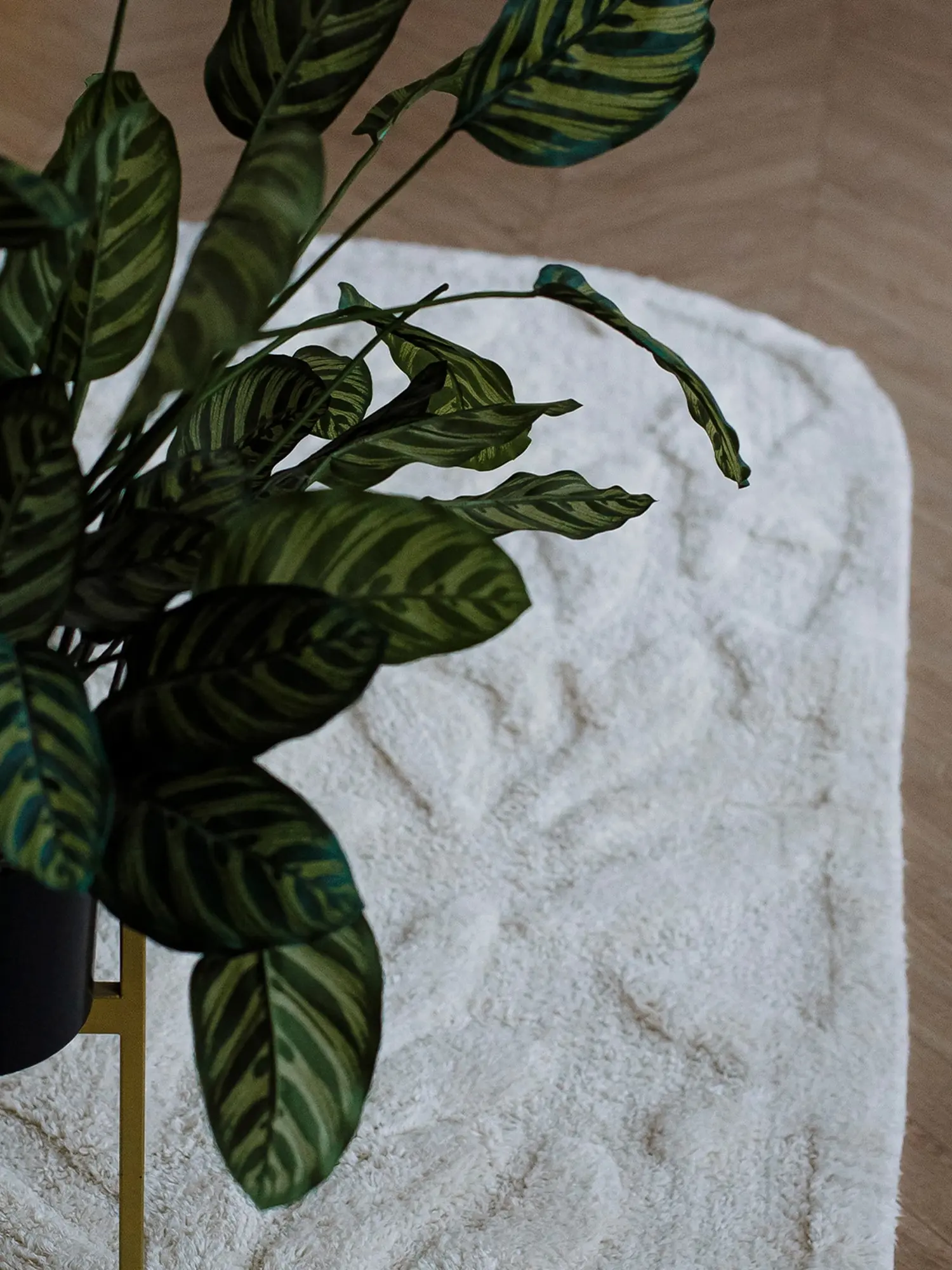 Хлопковый ковер Sankofa 120x180 см - изображение 7