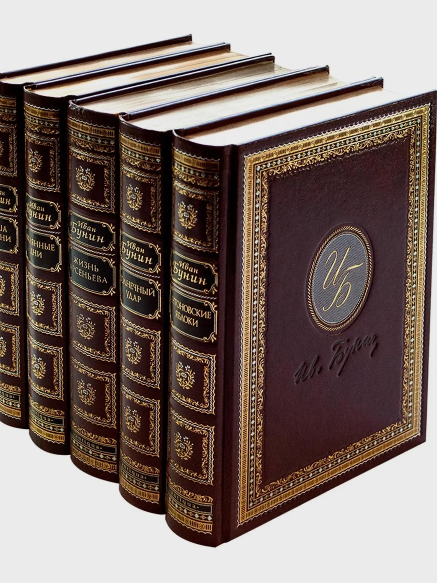 Книга "Жизнь Арсеньева", Иван Бунин - изображение 6